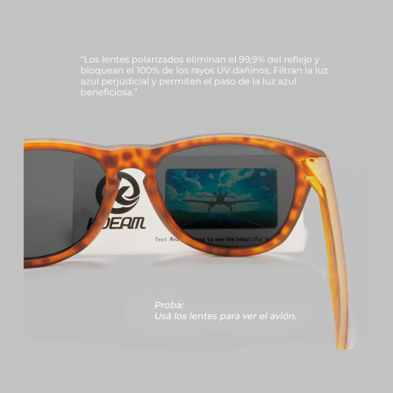 gafas de sol calvin