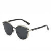 C2- Silver Gray